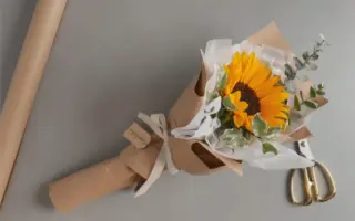 向日葵花束 搜索结果 哔哩哔哩 Bilibili