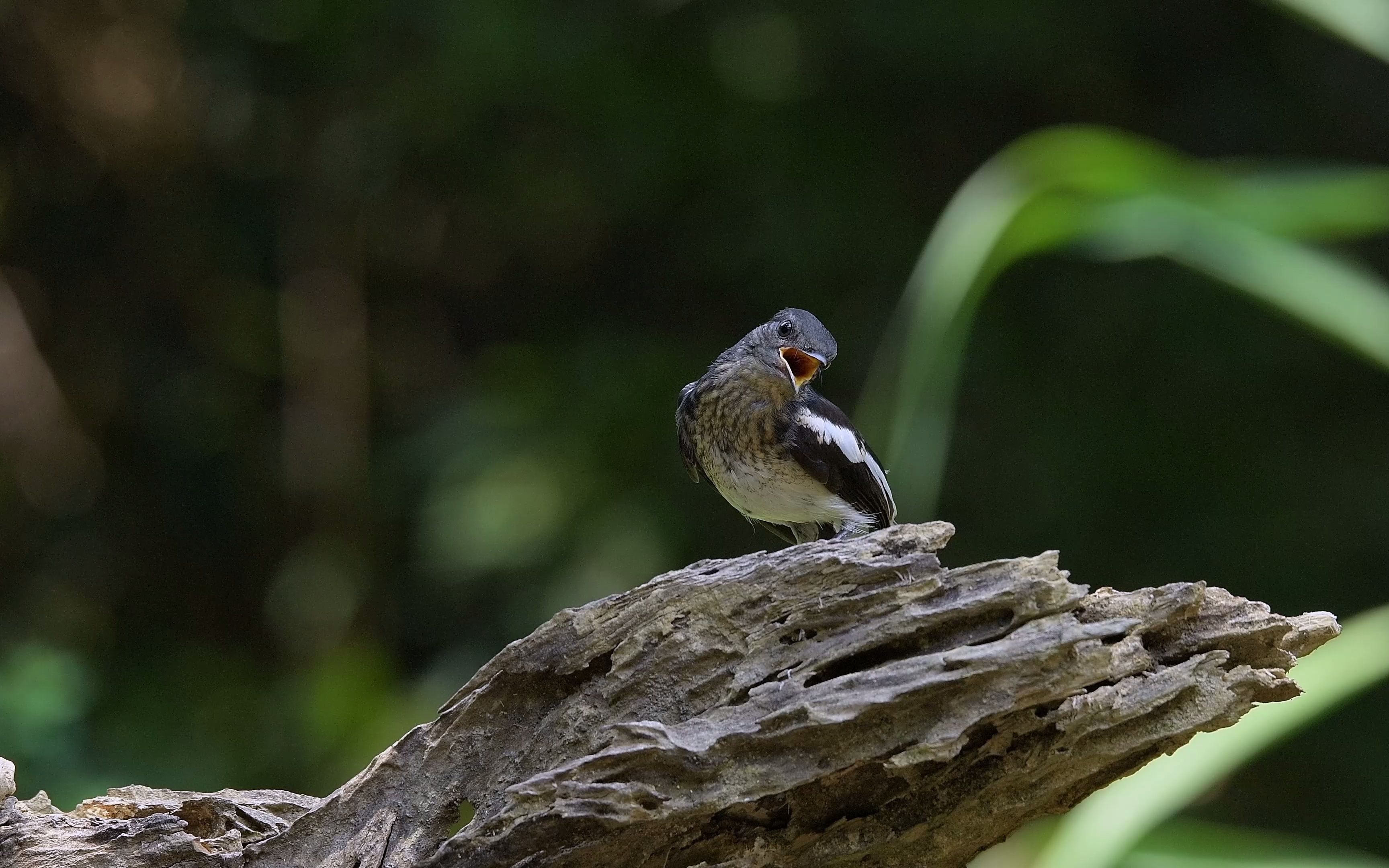8月15日溧阳龙潭花谷