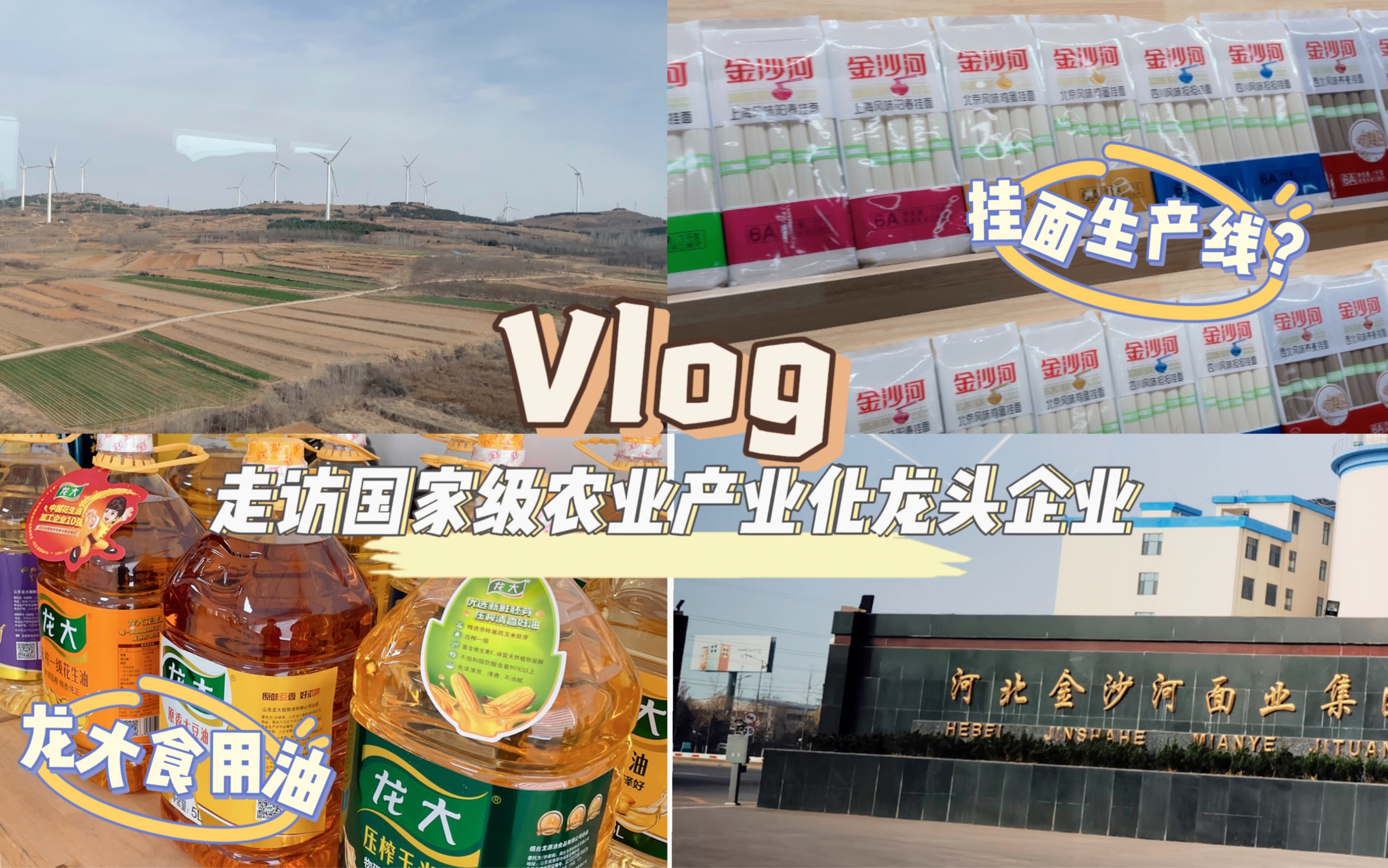 VLOG|走访考察|世界百强企业|农业产业化|五得利集团|金沙河集团|粮油食品|河北山东陕西哔哩哔哩bilibili