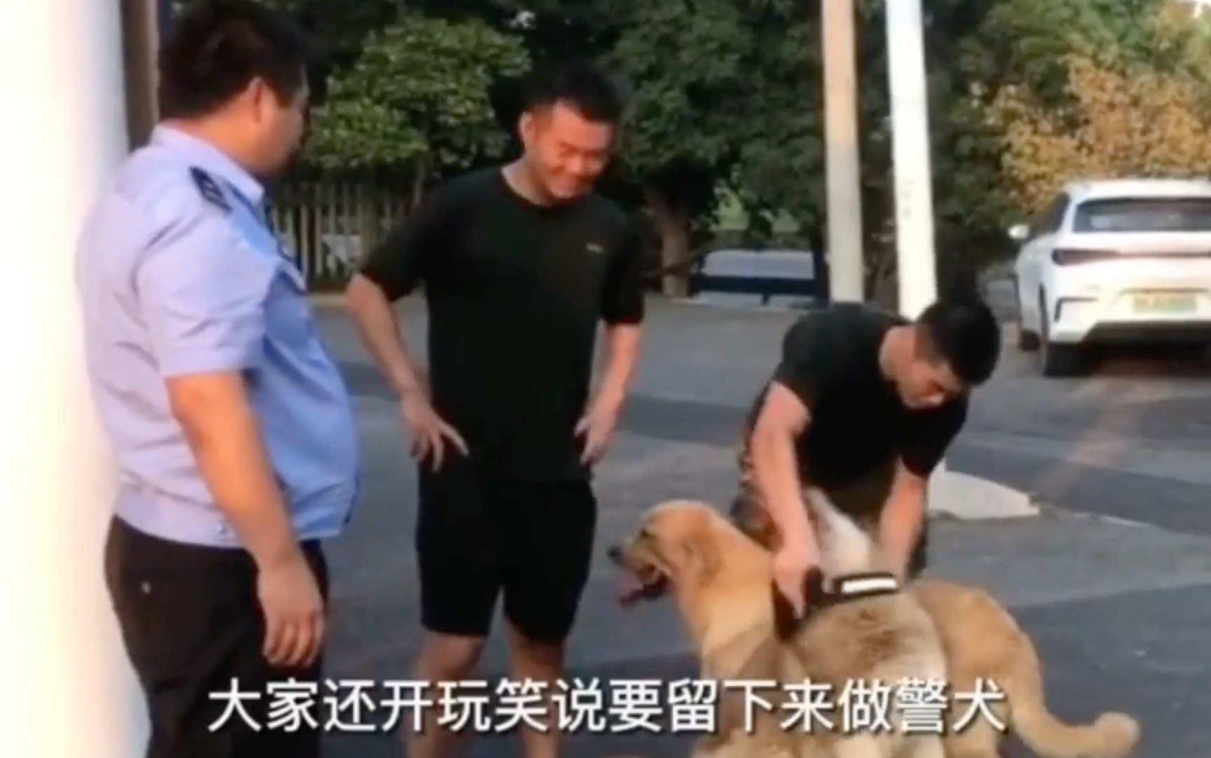 [图]警犬也会走丢？民警捡回两犬想当警犬结果真是警犬！