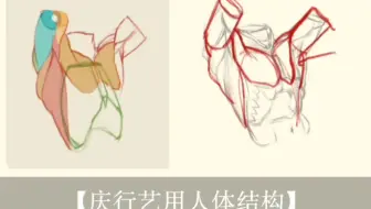 提升绘画技巧：肩三角肌、胸大肌与手臂的关系解析！