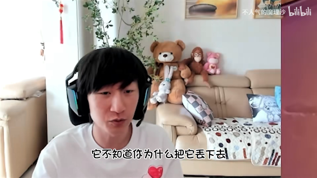 就像电棍说猫一样,mlxg也是这么觉得电棍一样的,怪不得zoom说他是棍