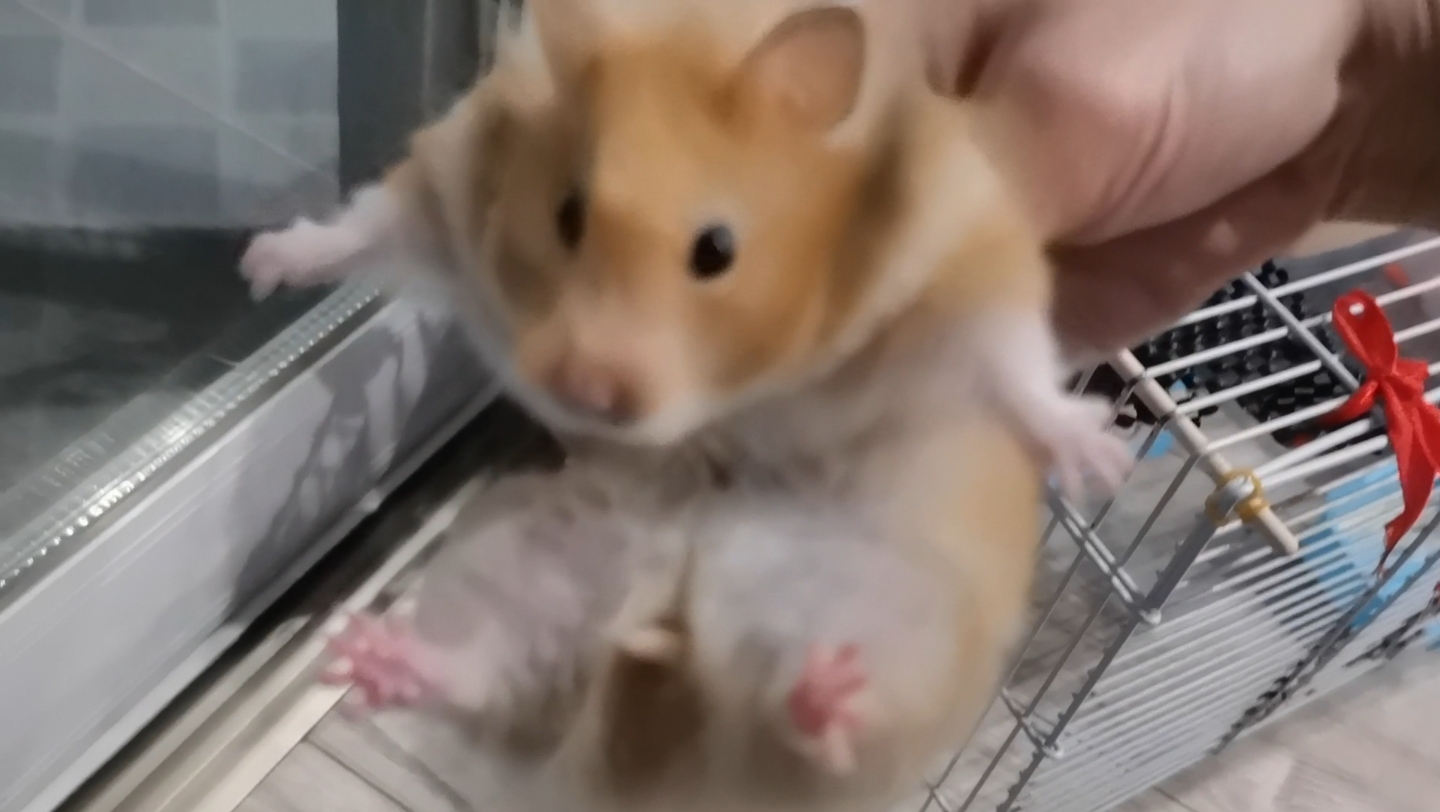 今日绝技:无敌旋风腿