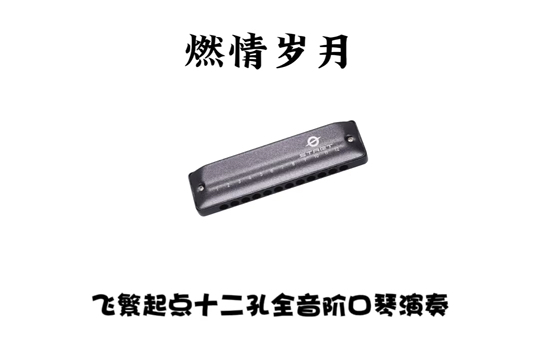 『燃情岁月』飞繁十二孔全音阶口琴演奏,有动态简谱哔哩哔哩bilibili