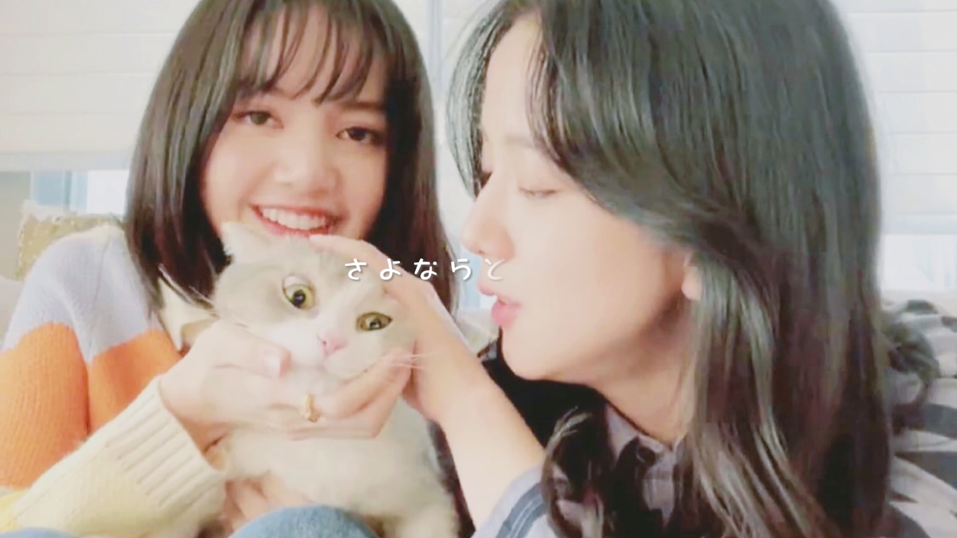 荔枝cp lisoo