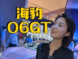 Descargar video: 奶凶奶凶的海豹06GT，是你的菜吗？