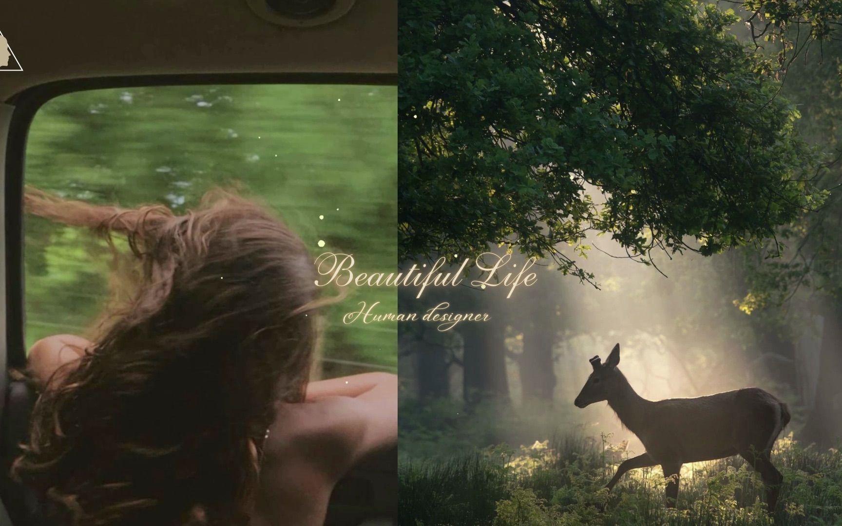 【Beautiful life】 美丽人生系列之拥抱自然,回归内心的终极平静哔哩哔哩bilibili