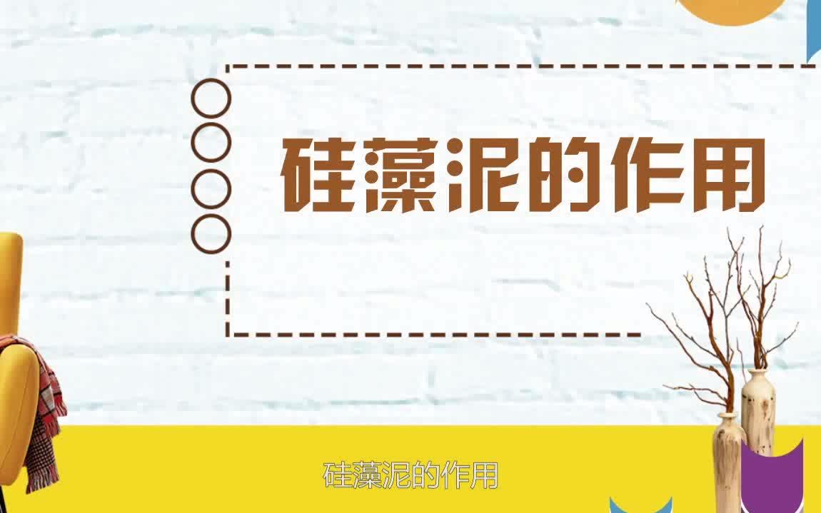 硅藻泥到底值不值得买?环保吗?别被商家误导!这篇总结很中肯!哔哩哔哩bilibili