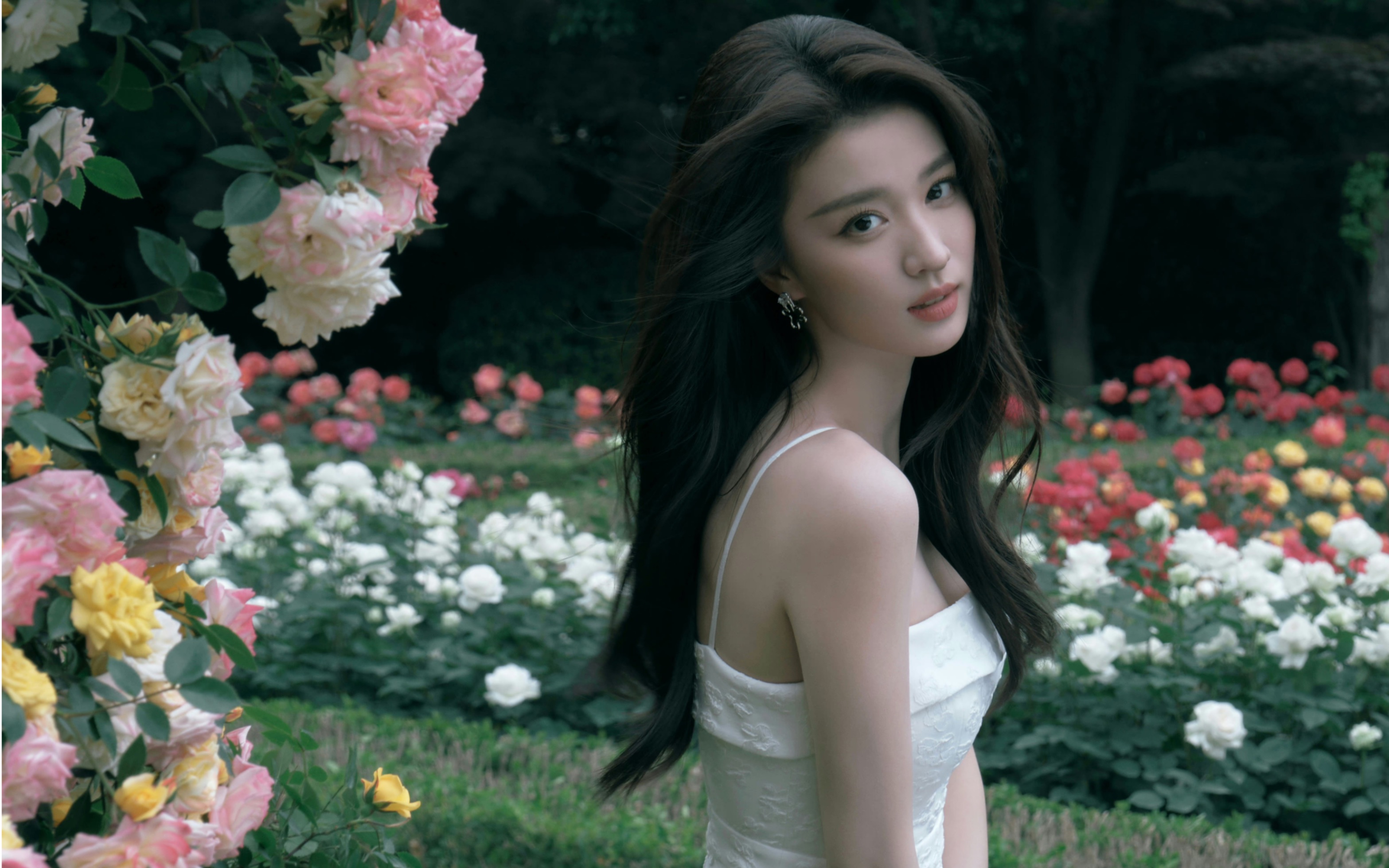 【王楚然】白裙油画少女,真的好仙!