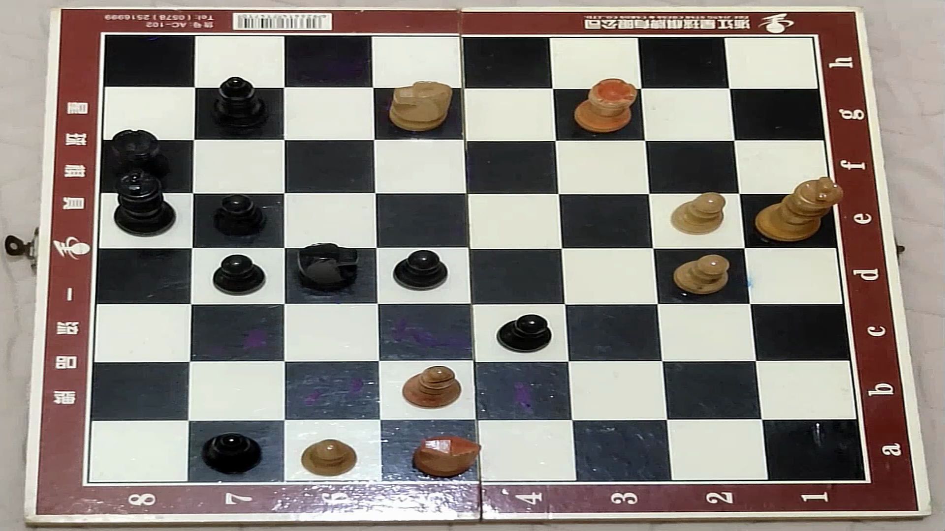 王频国际象棋图片