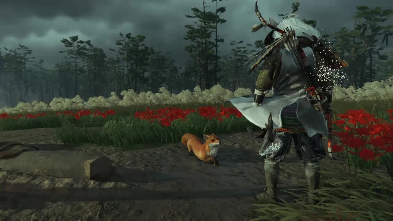 萌坏了!对马岛之魂 与可爱狐狸的摸头互动