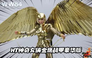 Download Video: 翼展达67cm，全身电镀？Hot Toys神奇女侠金鹰战甲豪华版开箱！【涛哥测评】