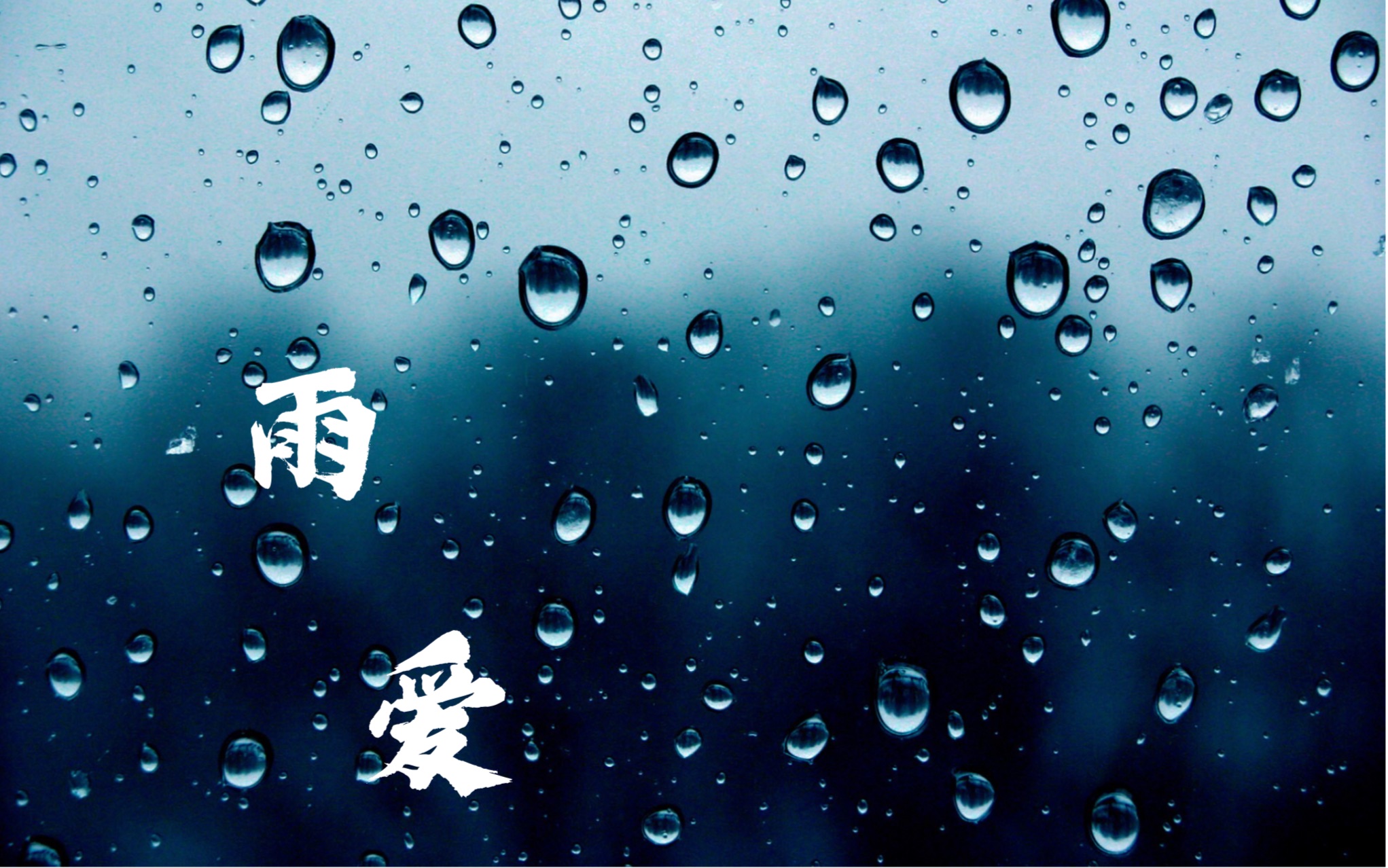 听雨的声音,一滴滴清晰——雨爱