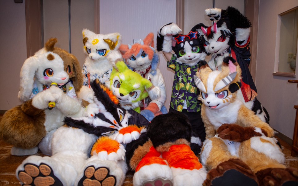 【兽装/fursuit】极兽聚期间的出毛视频合集!_哔哩哔哩_bilibili