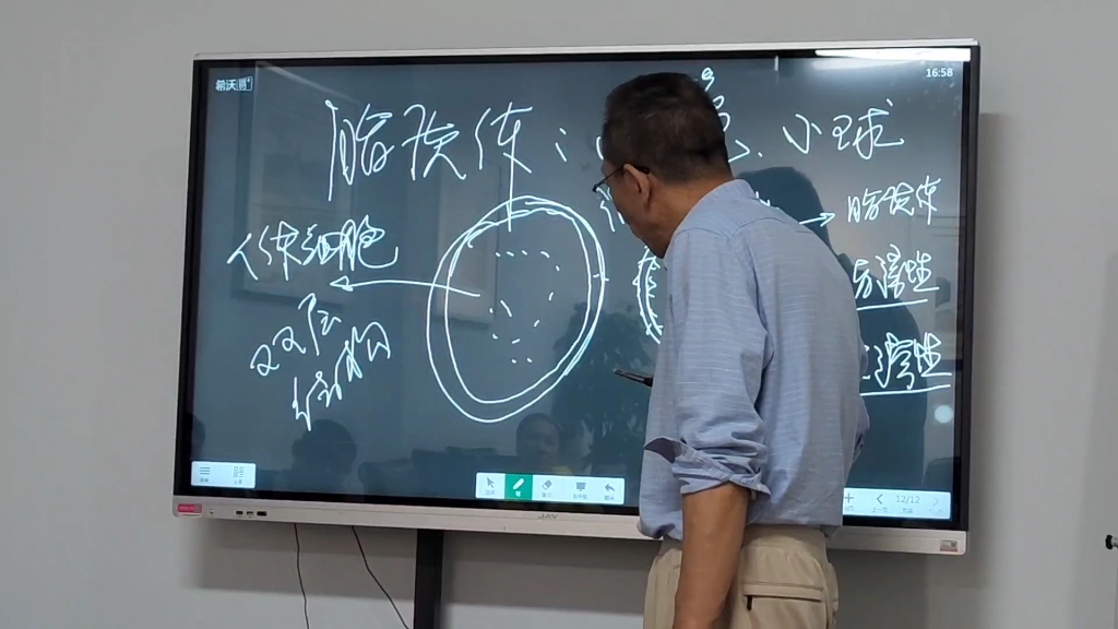 传承大健康之营养健康(下)中国生命关怀协会特殊食品工作委员会会长金绍君哔哩哔哩bilibili