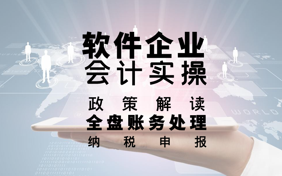 软件企业会计实操:政策解读、全盘账务处理与纳税申报(增值税,企业所得税预缴、汇算清缴、个税、印花税与附加税费申报)哔哩哔哩bilibili