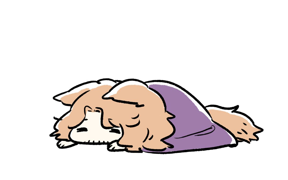 异色aph弗朗索瓦什么的已经太晚了