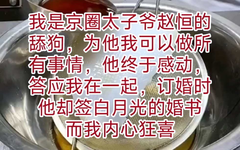 我是京圈太子爷赵恒的舔狗,为他我可以做所有事情,他终于感动,答应和我在一起,可订婚当日,却签下白月光地上的婚书,所有人都怜悯着看着我,唯有...