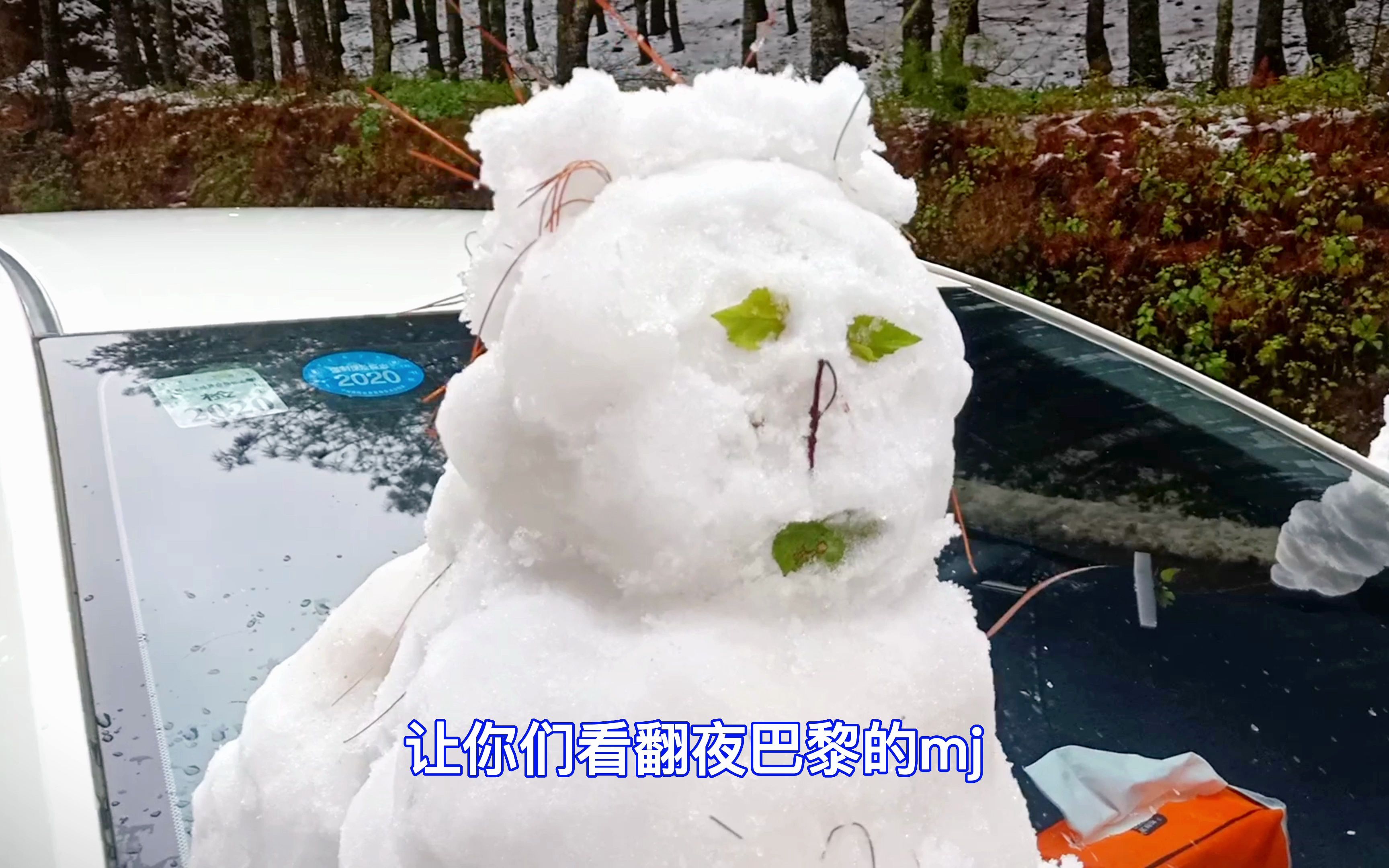 [图]炎热的夏天最想的就是这个雪人了