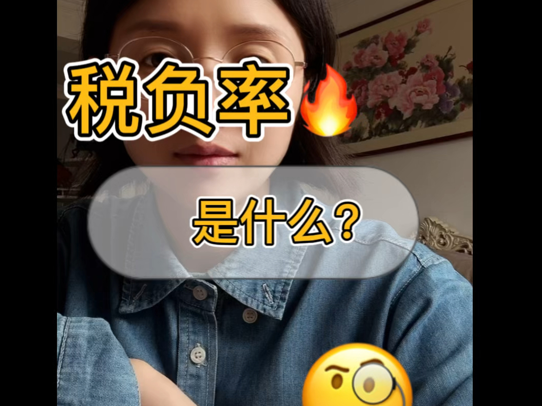 税负率是什么,还不知道的姐妹快来抄作业~哔哩哔哩bilibili