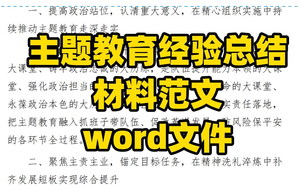 2023年度某局主题教育经验总结材料范文,word文件哔哩哔哩bilibili