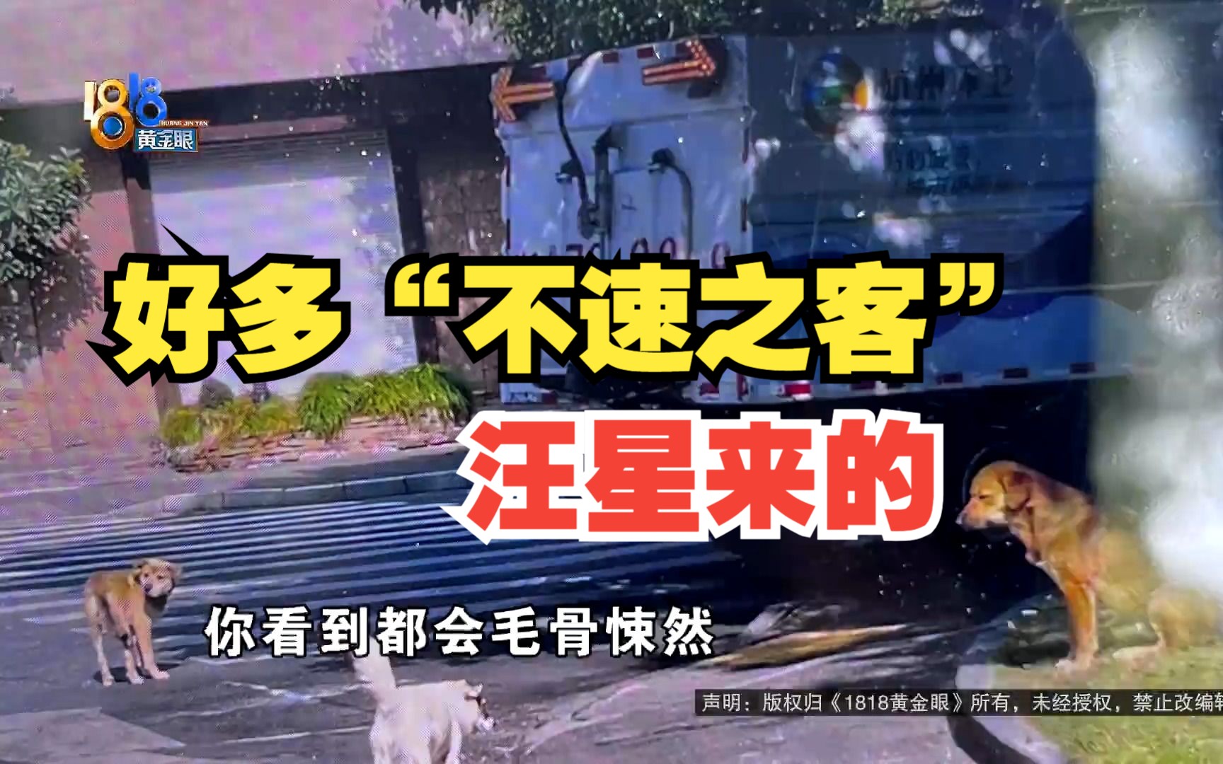 [图]【1818黄金眼】不速之客变熟客 “小弟”被捕“大哥”在逃