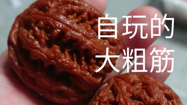 顽点东西/龙门涧一个新手玩家关于文玩核桃的分享（二）_哔哩哔哩_bilibili