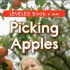 「不用词汇书背单词」Episode 59：Picking Apples