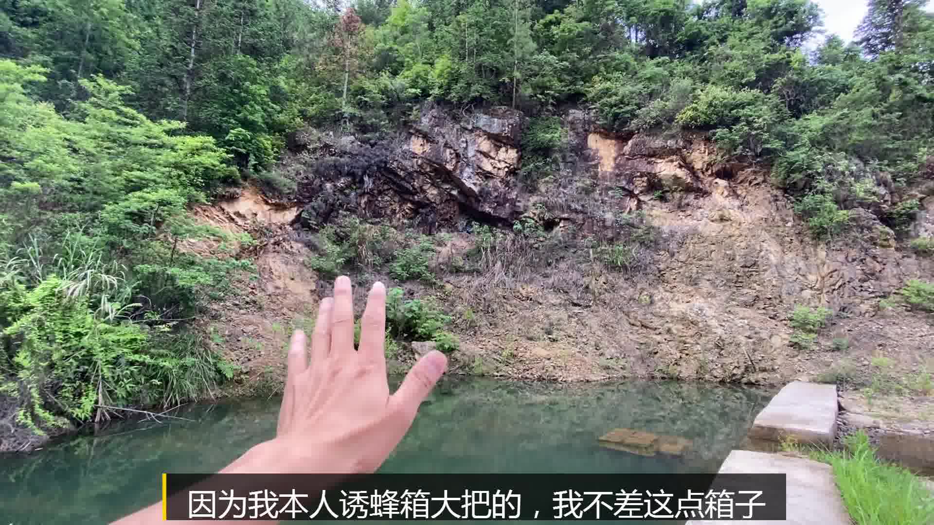 一个好的诱蜂位置被一个不懂行的蜂友放了诱蜂箱我这样做对吗