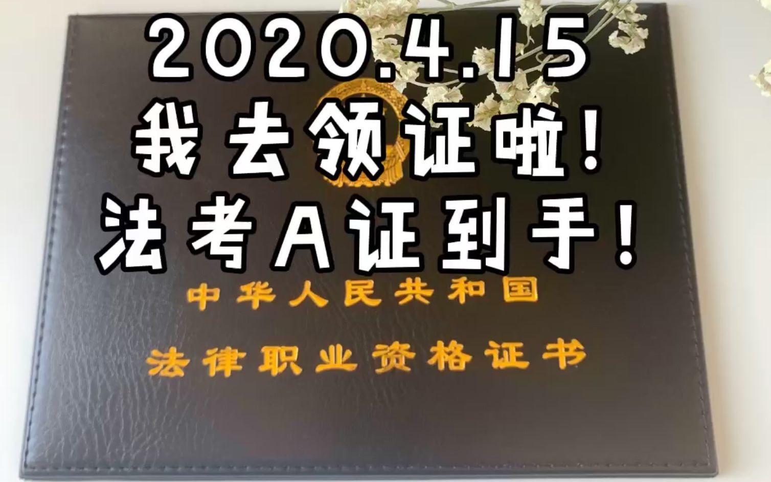 领取法律职业资格证书|我通过2019年法考啦|法考证哔哩哔哩bilibili