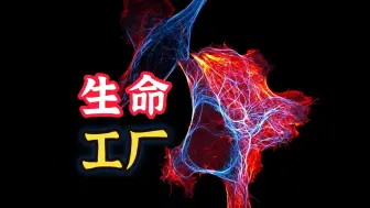 Download Video: [细胞秘事17] 二十亿年前，她在体内搭建了世界第一台流水线