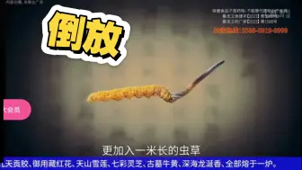 4K60帧，【倒放】王尼玛“更加入1米长的虫草”《安阳古黄金》完整版《片场日记》