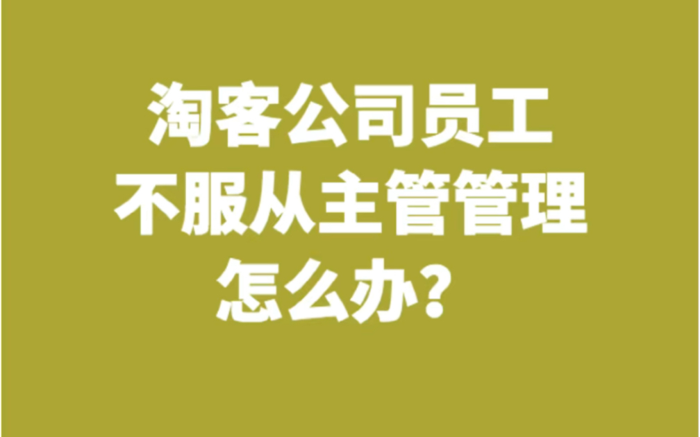 淘客公司员工不服从主管管理怎么办?哔哩哔哩bilibili