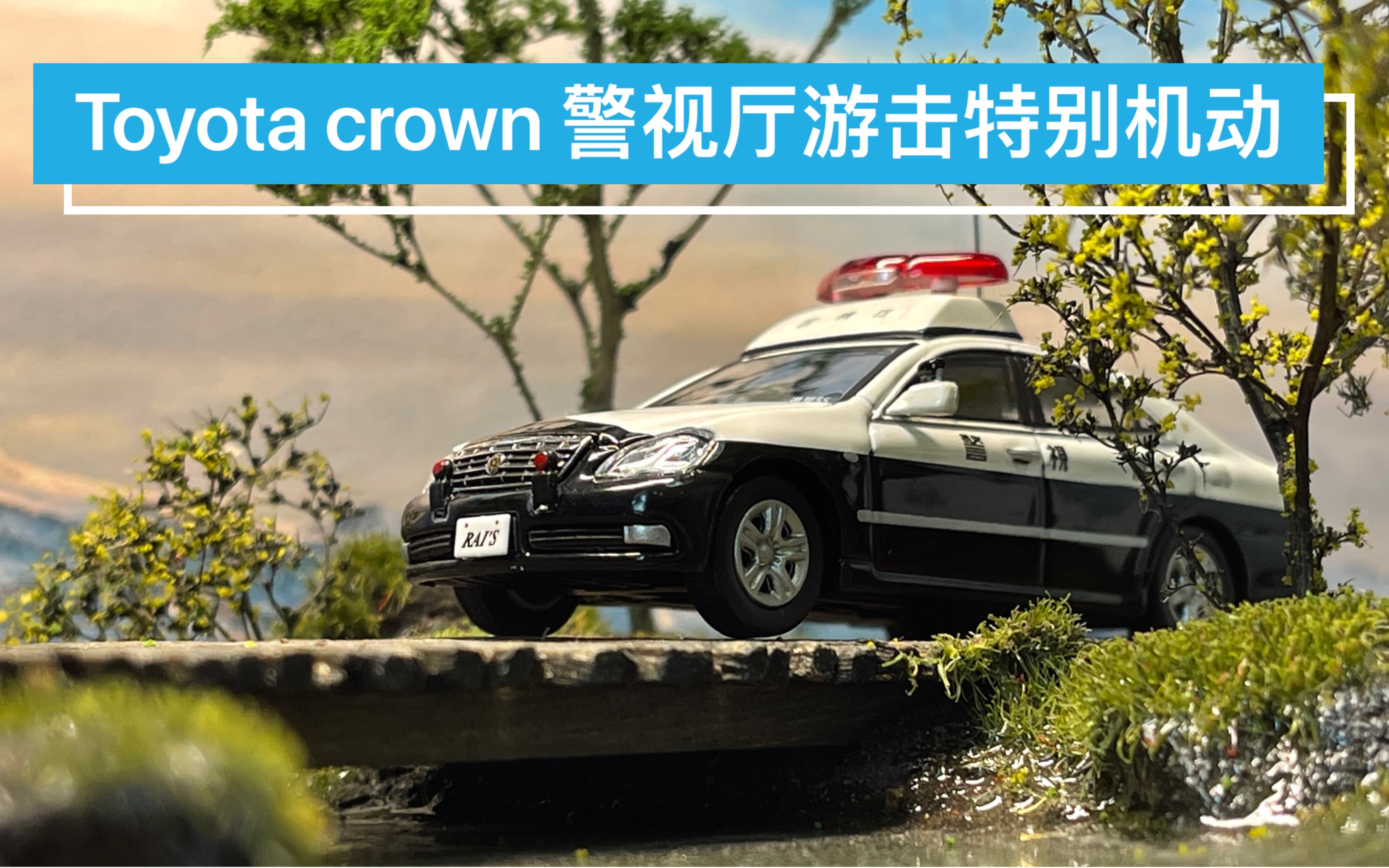 [28th]rais 1/64 toyota crown 警视厅游击特别机动