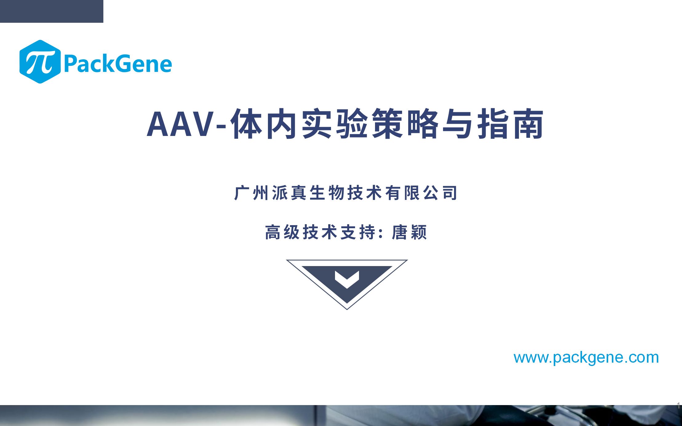 AAV体内实验策略与指南哔哩哔哩bilibili