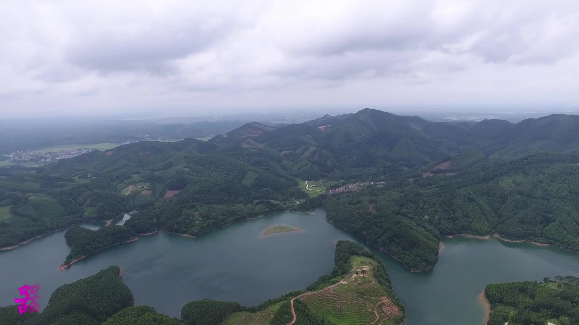 广西宾阳百合水库边上种满了速生桉这里是扬名千里的风水宝地