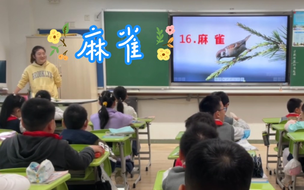 [图]【教师】四上 16.麻雀 (第一课时) 教学实录 #小学语文 小学老师