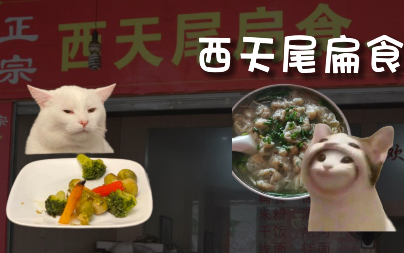 可颂猫,但是西天尾扁食.哔哩哔哩bilibili