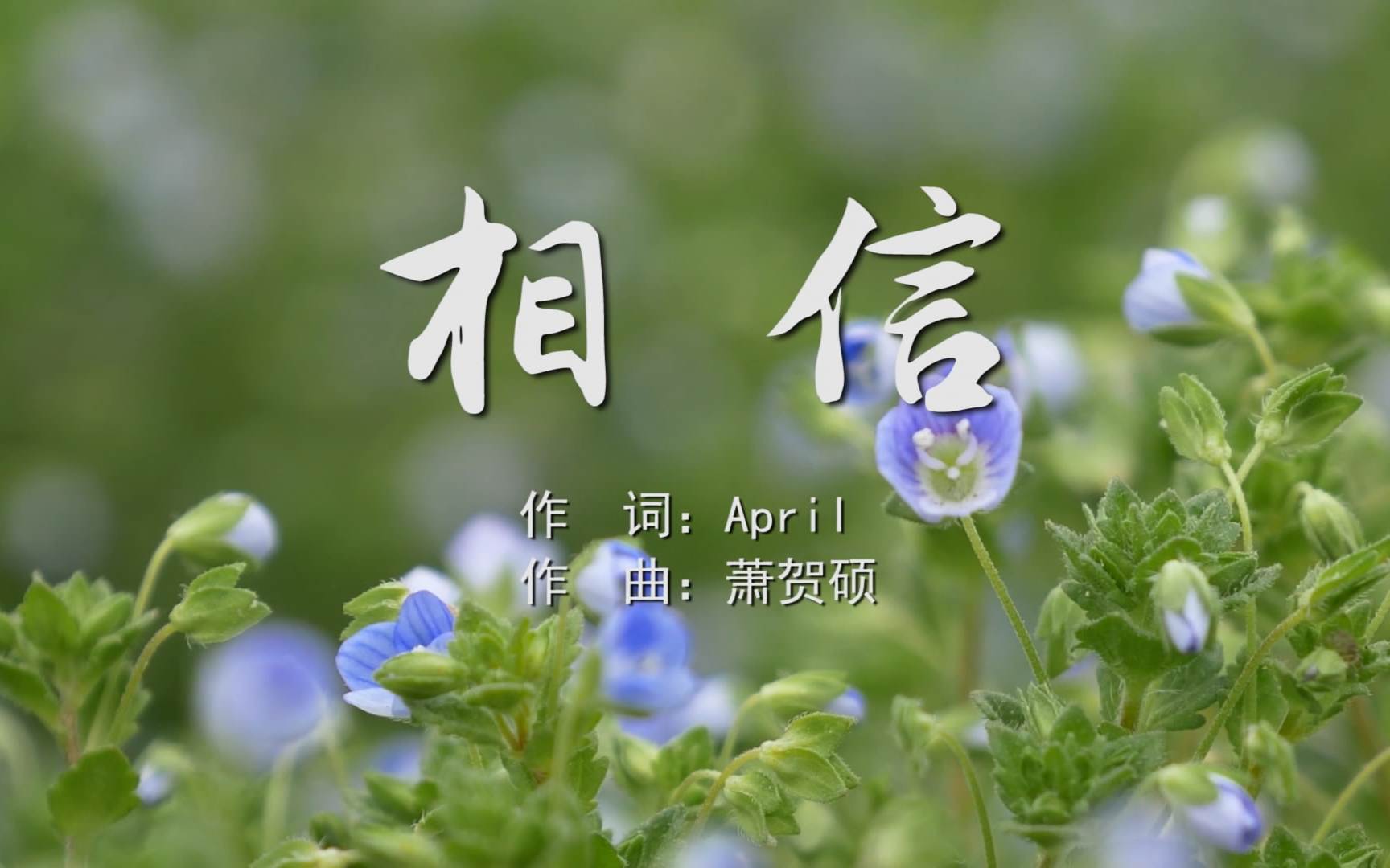 相信孙燕姿mv字幕配乐伴奏舞台演出led背景大屏幕视频素材tv