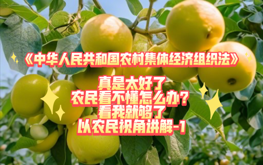 农村集体经济组织法,关系到亿万农民的法律,我们来看懂它(一)哔哩哔哩bilibili