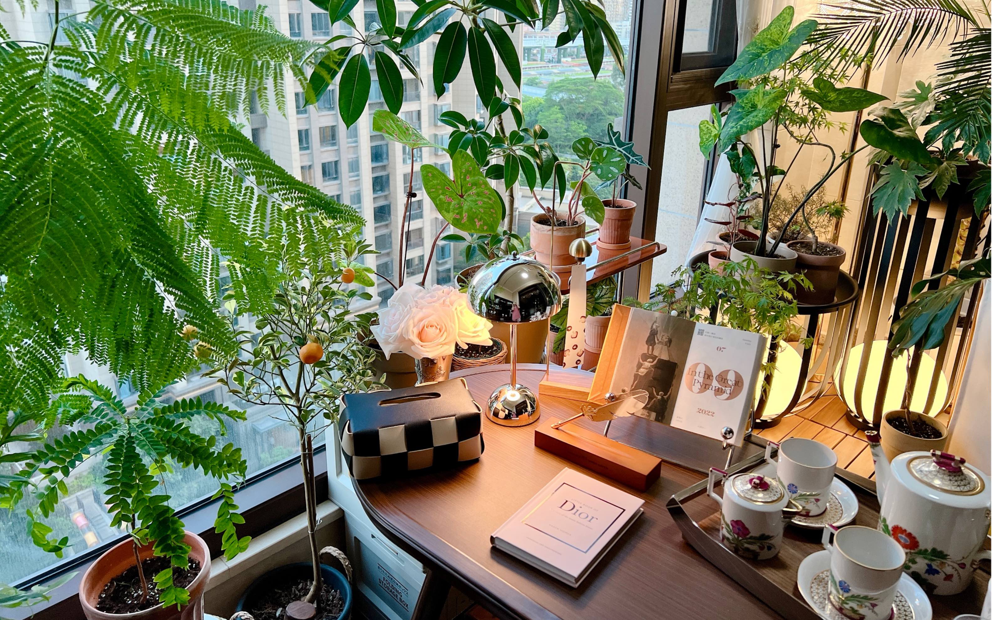 花费5w打造唯美阳台花园被绿植环绕的阳台炎炎夏日的一抹绿成功改造