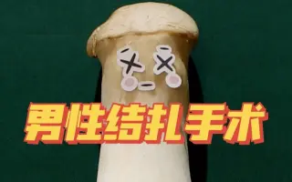 输精管 搜索结果 哔哩哔哩 Bilibili