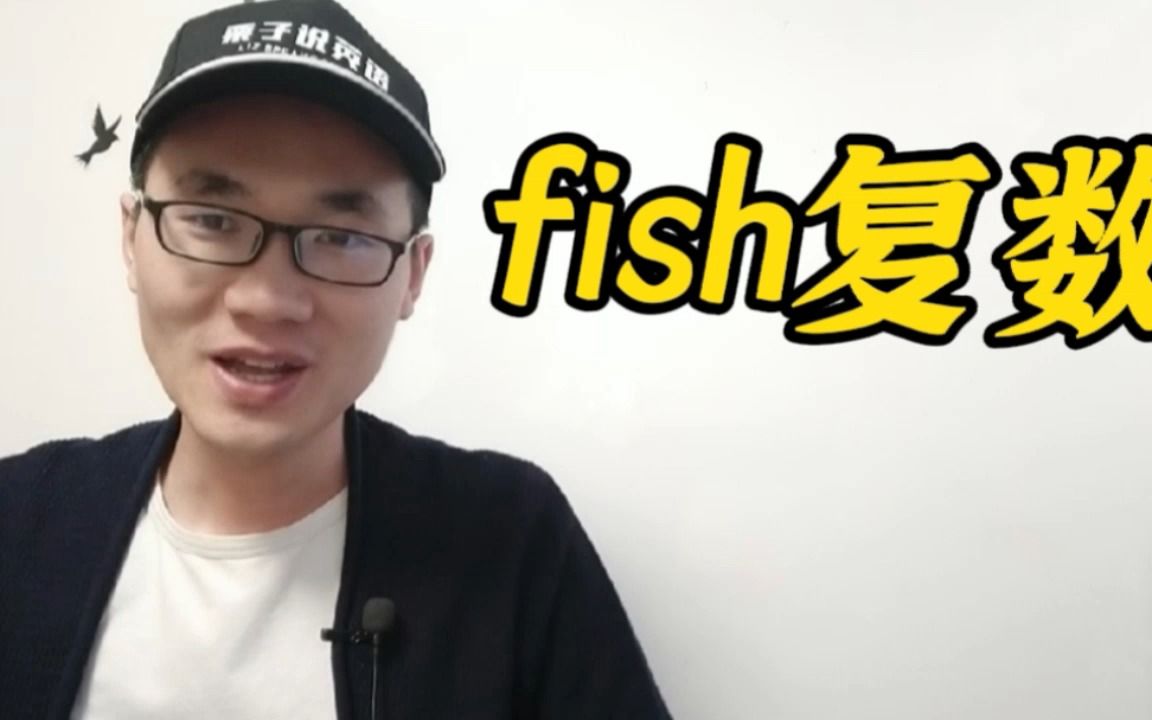 有同学问:fish的复数形式该如何使用?哔哩哔哩bilibili