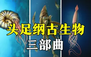 Download Video: 头足纲古生物三部曲