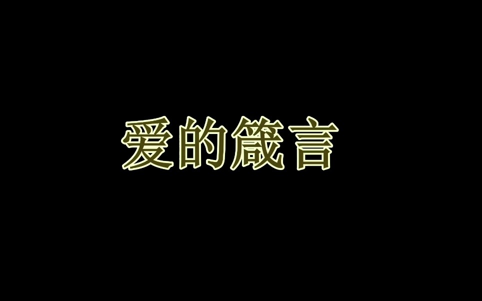 爱的箴言,用力去爱,不负此生哔哩哔哩bilibili