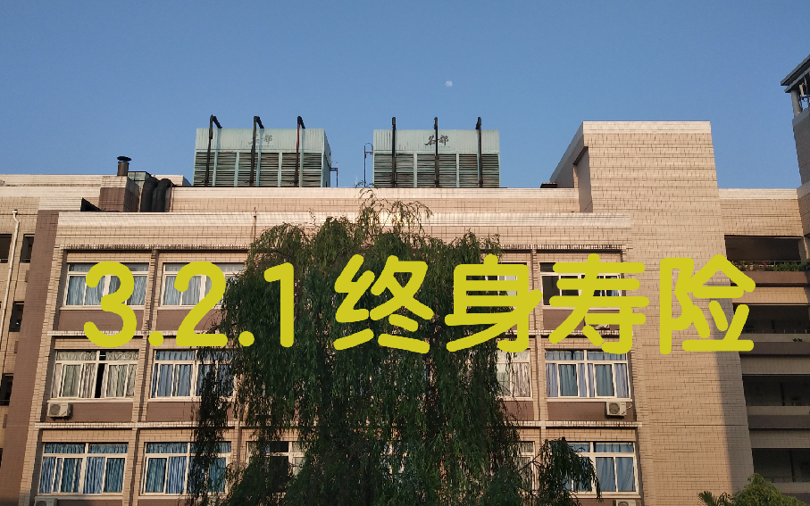 【3.2.1 终身寿险】寿险精算学(第二版) 中国人民大学 王燕编著哔哩哔哩bilibili