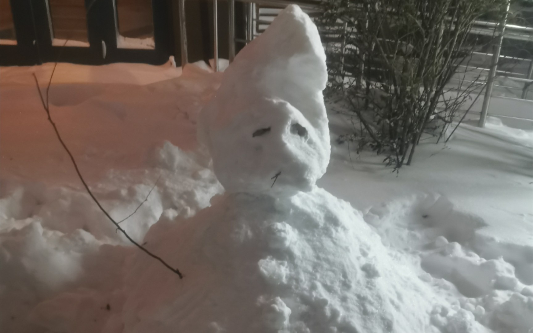 [图]沈阳的雪到底有多大