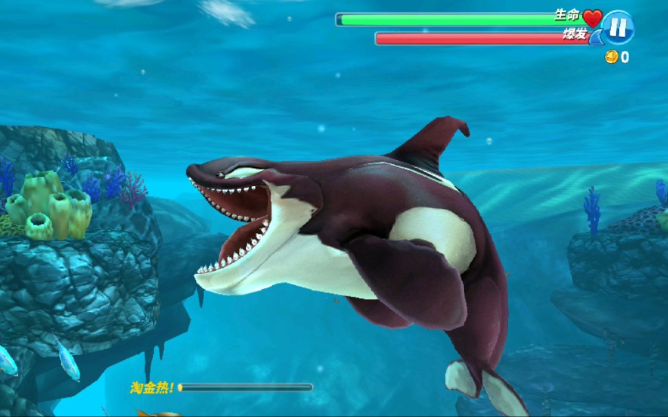 饥饿鲨唯一的哺乳动物虎鲸来复仇了可以在陆地上呼吸不掉血持续更新中