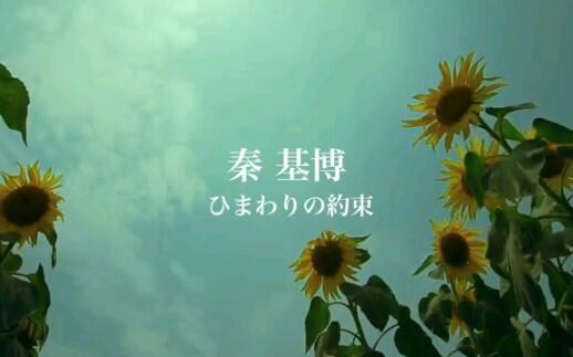 音乐】秦基博MV合集_哔哩哔哩_bilibili