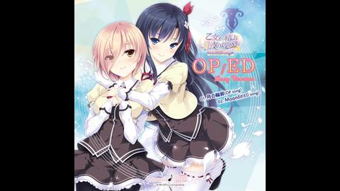 特別な煌めき　蒼月紗夜　プレミアム プレミアム】特別な夜 蒼月紗夜 - アメニティードリーム通販部